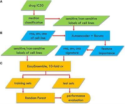 Autoencoder Based Feature Selection Method for Classification of Anticancer Drug Response